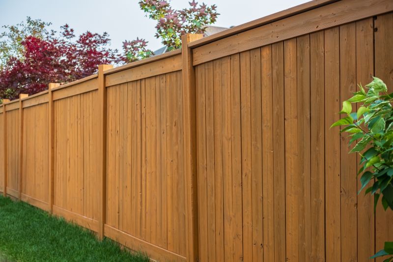 Privacy Fence Options